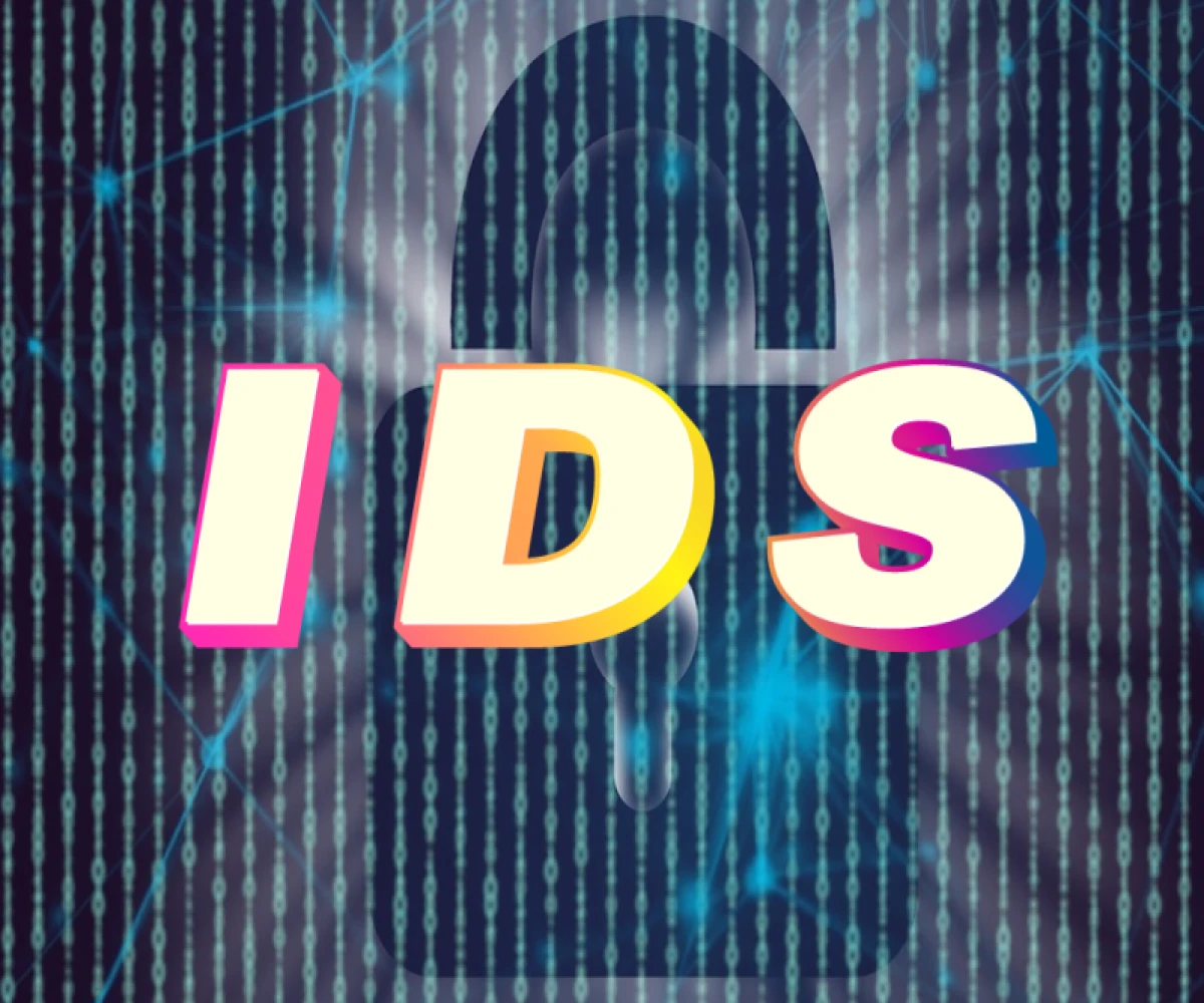 
                                      What is an Intrusion Detection System (IDS)?

                                          