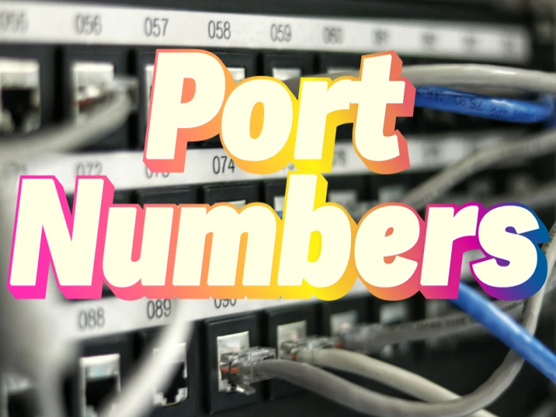 The Hidden World of the Internet: Discover the Secret of Port Numbers