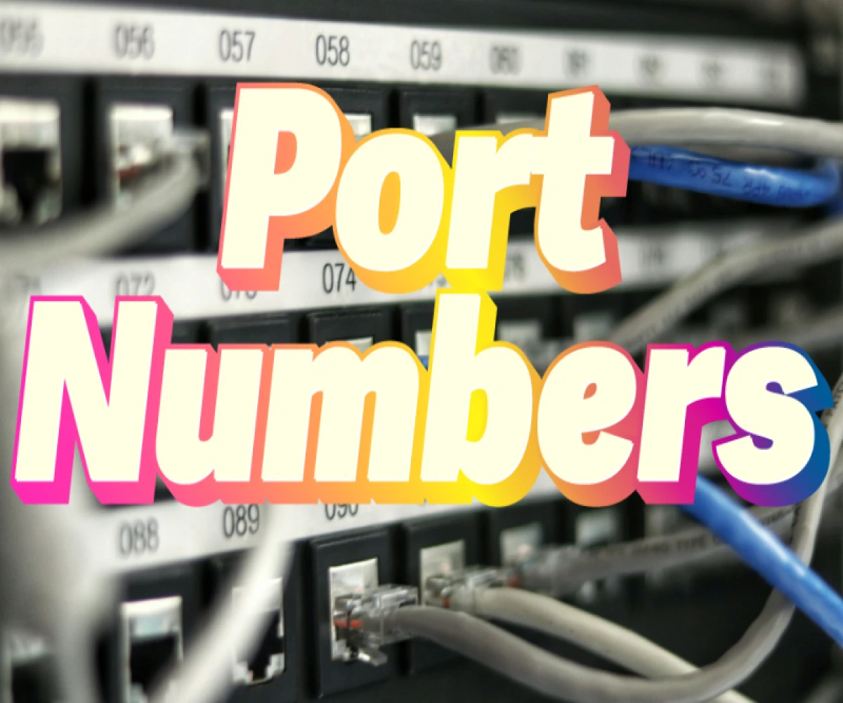 
                                      The Hidden World of the Internet: Discover the Secret of Port Numbers

                                          